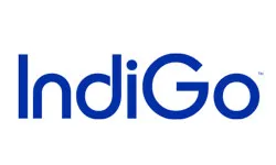 IndiGo IndiGo
